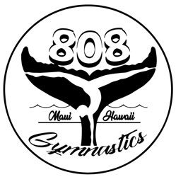 Maui summer camps